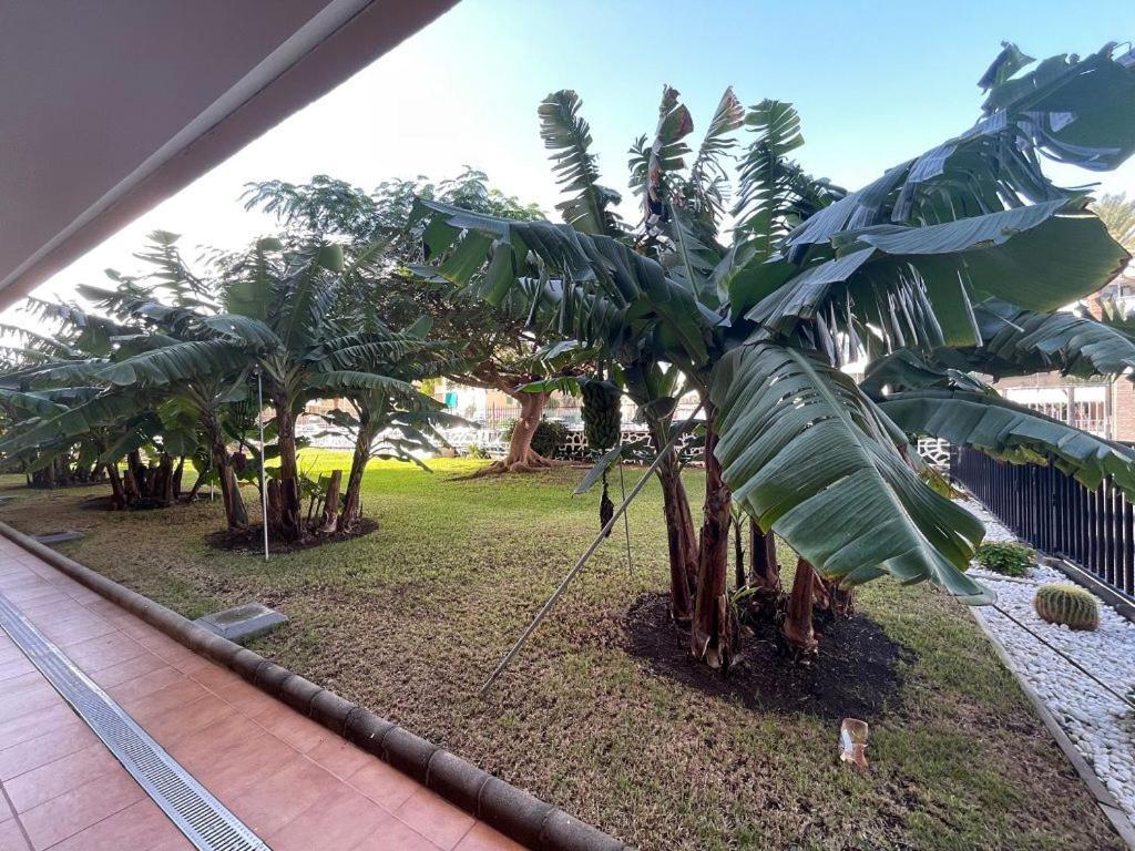 Seaview Apartment Los Cactus Playa del Inglés Extérieur photo